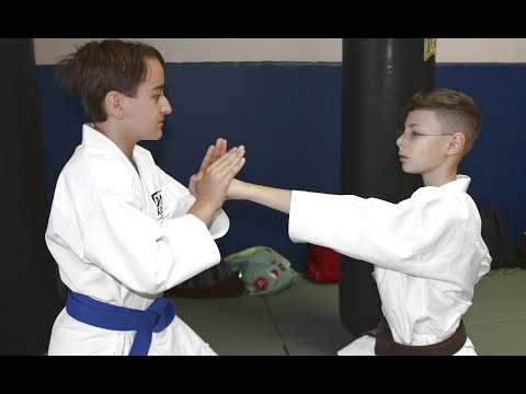 Видео: Технический Семинар "Открытое Кумите - 2020". Завершающий удар (Тодомэ-Вадза)