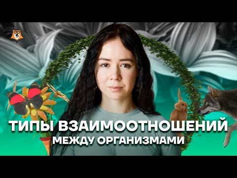 Видео: Типы взаимоотношений между организмами | Биология ЕГЭ 2022 | Умскул