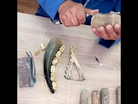 Видео: Сүйектен мүсін жасау - Бахитов Т