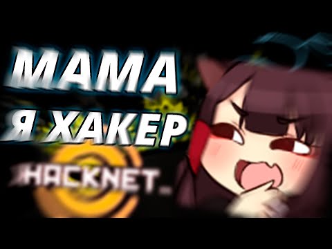 Видео: КАК ЭТО БЫЛО В HACKNET