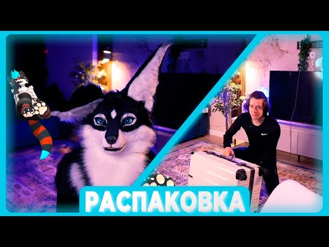 Видео: РАСПАКОВКА ФУРСЬЮТА ПУШИСТОГО ВОЛКА | Нарезка стрима
