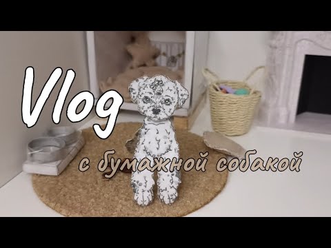Видео: Влог с бумажной собакой, RolePlay.🐶🫶🏻