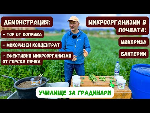 Видео: Животът в почвата. Микроорганизми: микориза и бактерии. Училище за градинари