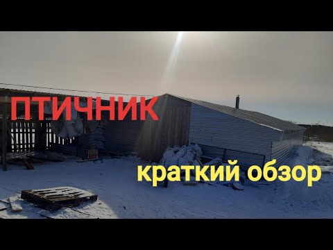 Видео: Птичник. Краткий обзор