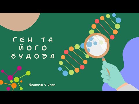 Видео: Біологія 9 клас  Ген та його будова