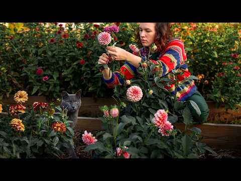 Видео: Простая жизнь в деревне 🌿 4-часовая подборка: Год в моем саду