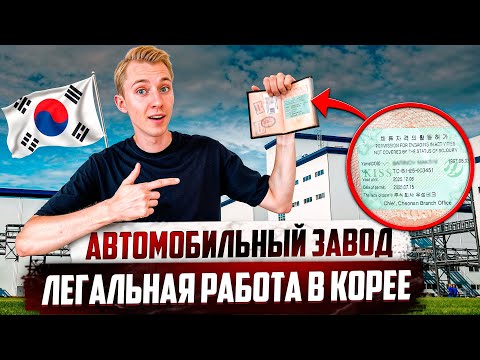 Видео: РАБОТА В КОРЕЕ НА ЗАВОДЕ / КАК ЛЕГАЛЬНО УСТРОИТСЯ?