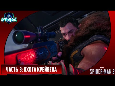 Видео: MARVEL'S SPIDER-MAN 2➤➤➤ЧЕЛОВЕК-ПАУК 2 (2023)➤➤➤РУССКАЯ ОЗВУЧКА➤➤➤ЧАСТЬ 3: ОХОТА КРЕЙВЕНА