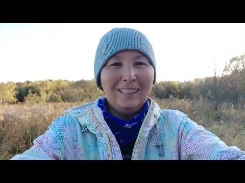 Видео: На болото за ягодой.. пойди-ка собери..