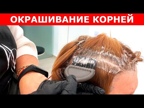 Видео: Как покрасить корни волос • Окрашивание корней • Колористика с нуля #3 APG Academy