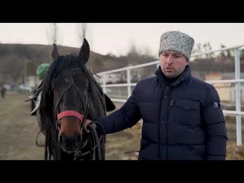 Видео: Конный переход на лошадях Карачаевской породы. 2022 год