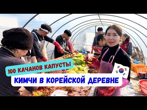 Видео: Кимчи на 4 семьи 👨‍👩‍👧‍👦Моя поясница вышла из чата😂 Корея Влог 🇰🇷