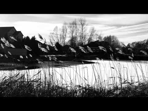 Видео: V. Silvestrov plays his "Bagatelles - VIII" (2018)   - В. Сильвестров. Багателі - VIII (2018)