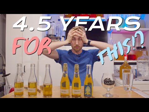 Видео: Дегустация моих первых 8 медовух (4,5 года спустя)