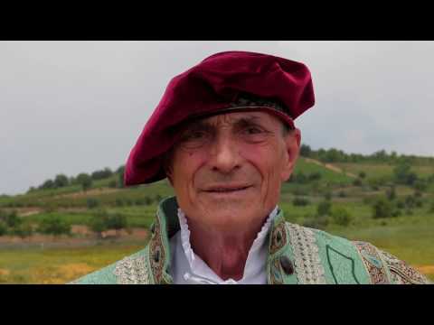 Видео: Порядок вещей