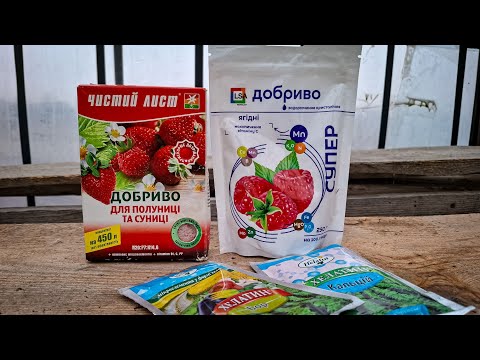 Видео: Знайшов СЕКРЕТ Успіху-Як я Підживлював полуницю в 2024 і Що ПРАЦЮВАЛО?