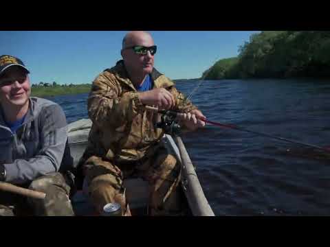 Видео: тролинг северная двина июнь 2022 год