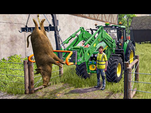 Видео: Транспортировка свиней с трактором в бойню | Farming Simulator 25