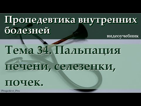 Видео: Тема 34. Пальпация печени, селезенки, почек.