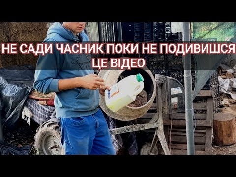 Видео: 🔥ПОСАДКА ЧАСНИКА🧄 Не починай поки не посадиш це відео;