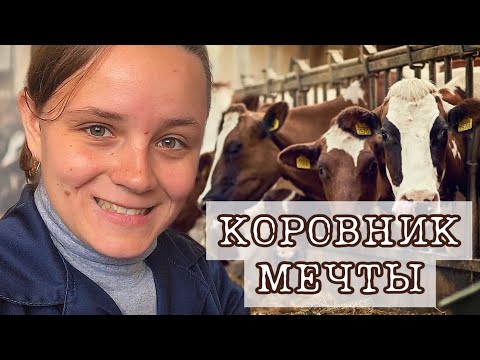 Видео: САМЫЙ ОТВРАТНЫЙ КОРОВНИК//ВЛОГ