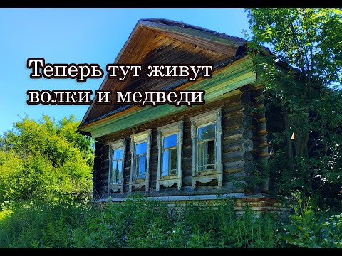 Видео: Тут жили сотни людей, теперь хозяева здесь дикие животные! Заброшенная деревня КУШНУР, Кировская обл