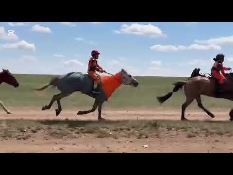 Видео: МАТАД ХААН уулын тахилга баяр наадам 2025 ИХ НАСНЫ уралдаан