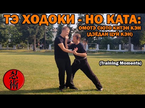 Видео: Тренировочные моменты №91 -ТЭ ХОДОКИ - НО КАТА: ОМОТЭ СЮТО КИТЭН КЭН (ДЗЁДАН ЦУЙ КЭН)