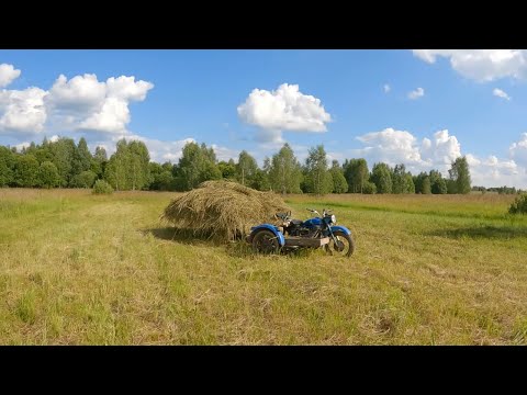 Видео: Заканчиваем пробный сенокос и деревенские будни августа!