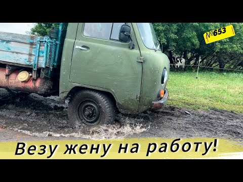 Видео: Жизнь и будни в Омской деревне.