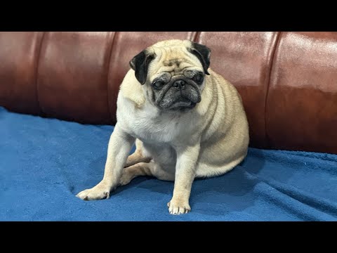 Видео: Нет денег? Умей крутиться! (реальная жизнь без понтов)