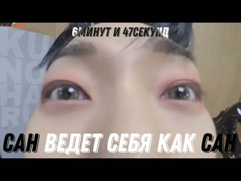 Видео: Сан ведёт себя как Сан 6минут и 47секунд