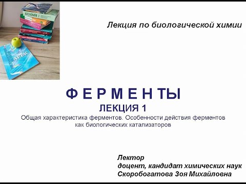 Видео: ФЕРМЕНТЫ 1. Общая характеристика. Особенности действия ферментов как биологических катализаторов.