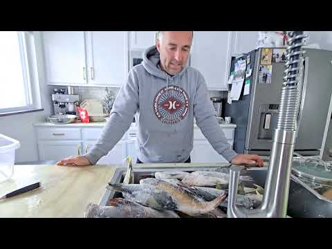 Видео: МИЧИГАНСКАЯ РЫБА ЦЕЛАЯ ГОРА .