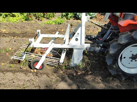 Видео: 🚜Картоплекопалка в роботі. Такою копаю вперше в житті. 2024р  #BazOtto