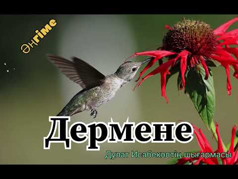 Видео: ДЕРМЕНЕ! (Қазақша аудио кітап)!