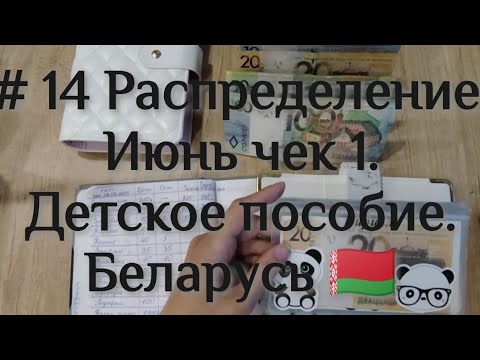 Видео: Распределение денег по конвертам. Планирование бюджета. Беларусь 🇧🇾