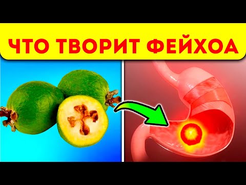 Видео: Ел по 1 кусочку Фейхоа каждый день и моё тело изменилось