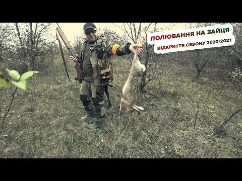 Видео: Полювання на зайця - відкриття сезону