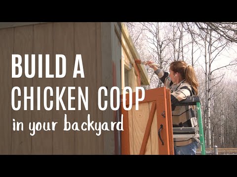 Видео: Постройте курятник у себя на заднем дворе