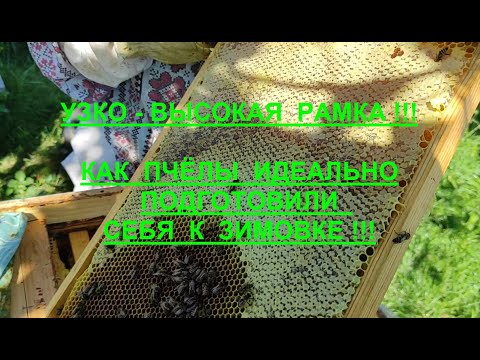 Видео: ИДЕАЛЬНАЯ УЗКО -- ВЫСОКАЯ РАМКА !!! ИЗОЛЯЦИЯ МАТОК В ЗИМУ !!! КАК СФОРМИРОВАТЬ ГНЕЗДО ???