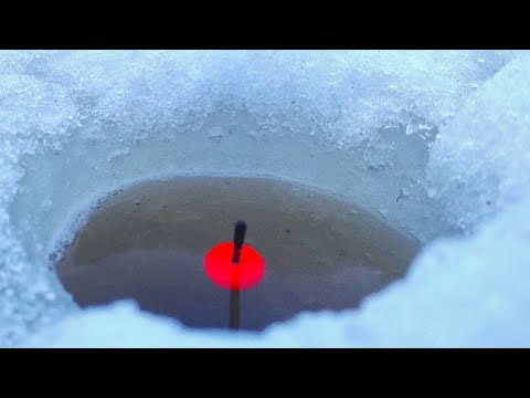 Видео: Ходили,Сверлили Здоровенные Лещи.Ловля Леща на Реке со Льда,без Прикормки.