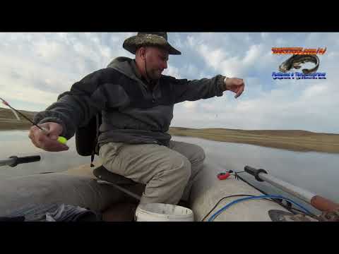 Видео: Рыбалка в Талдыкоргане. Оз.,,Лыжная база,, 25.09.24