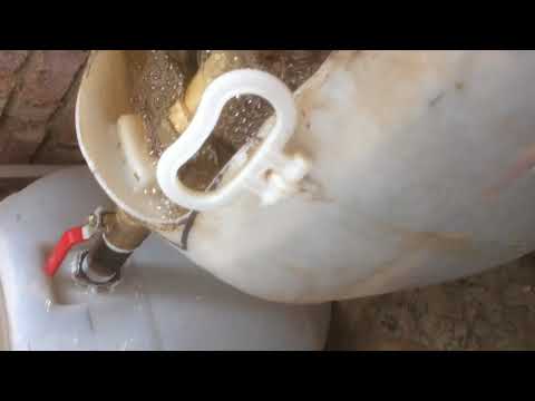 Видео: выращивание рака