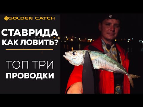 Видео: КАК ЛОВИТЬ СТАВРИДУ. Топ 3 проводки. Все нюансы. Рыбалка на море!