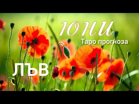 Видео: ЛЪВ ♌ Таро прогноза за ЮНИ 2025 #tarot #рийдинг #хороскоп #taro #лъв #tarotreading #българия #любов