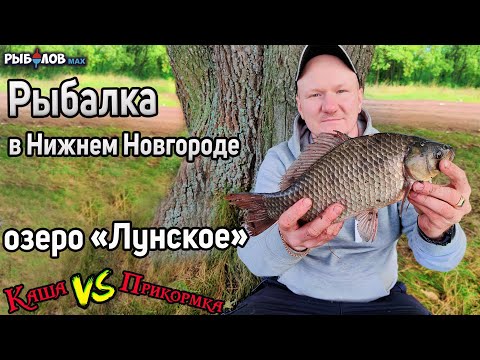 Видео: Озеро Лунское. Рыбалка в Нижнем Новгороде. Ловля карася осенью 2022