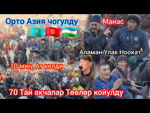 Видео: ОРТО АЗИЯ  БОЮНЧА  КЕЛГЕН  Ноокаттагы  Сайдилла  аажынын  Аламан  улагы  толук видио