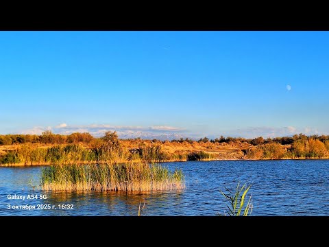 Видео: Рыбалка Талдыкорган. Три рыбы из трёх локаций. Октябрь. #Рыбалка #Талдыкорган 
