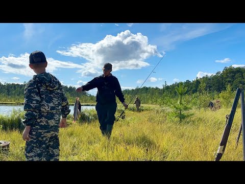 Видео: ЖИВЕМ В ТАЙГЕ. РЫБАЛКА, ЗАГОТОВКА ДРОВ, ЖДЕМ БЕЛЫЙ ГРИБ